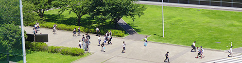 短期大学部概要
