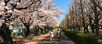 編入学合格実績
